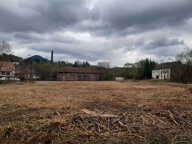 LA PETITE RAON  TERRAIN DE 2839M2 CONSTRUCTIBLE — photo 3