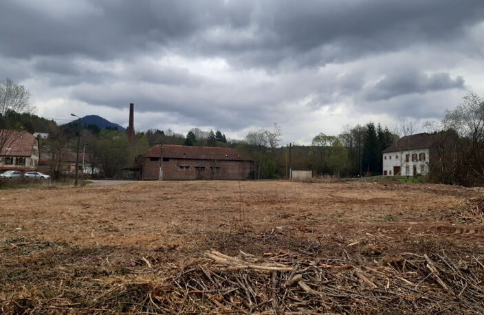 LA PETITE RAON  TERRAIN DE 2839M2 CONSTRUCTIBLE — photo 3