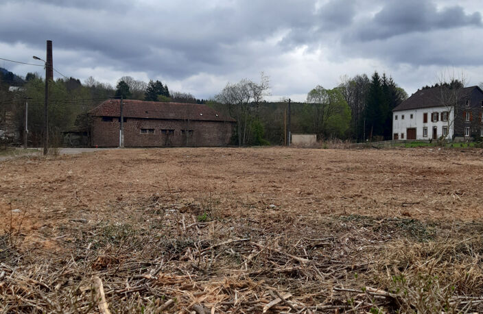LA PETITE RAON  TERRAIN DE 2839M2 CONSTRUCTIBLE — photo 4