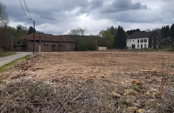 LA PETITE RAON  TERRAIN DE 2839M2 CONSTRUCTIBLE — photo 5