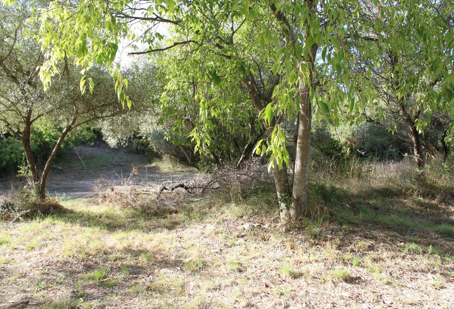 Maison de 106 M² sur grand terrain constructible de 5266 m² - 595 000  € FAI — photo 1