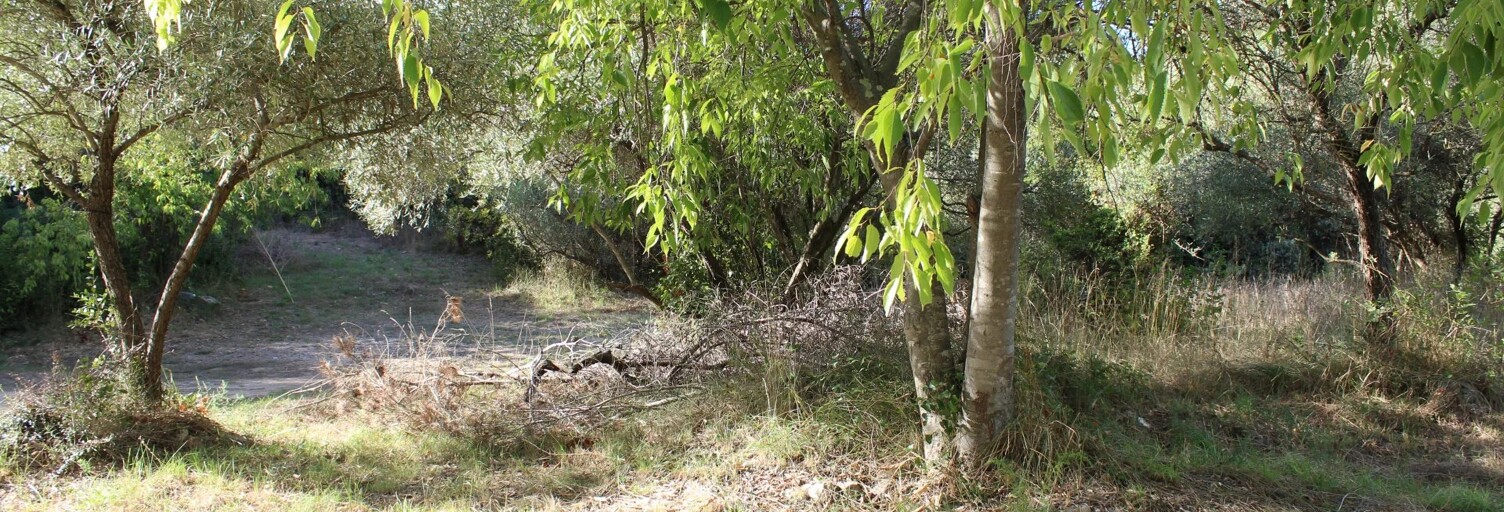 Terrain  5266 m² à vendre à Uchaud (30620)