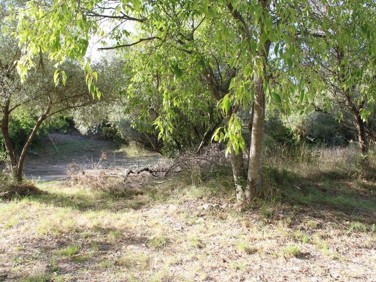 Maison de 106 M² sur grand terrain constructible de 5266 m² - 595 000  € FAI — photo 1