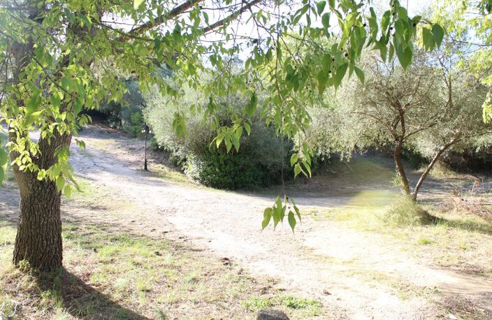 Maison de 106 M² sur grand terrain constructible de 5266 m² - 595 000  € FAI — photo 4