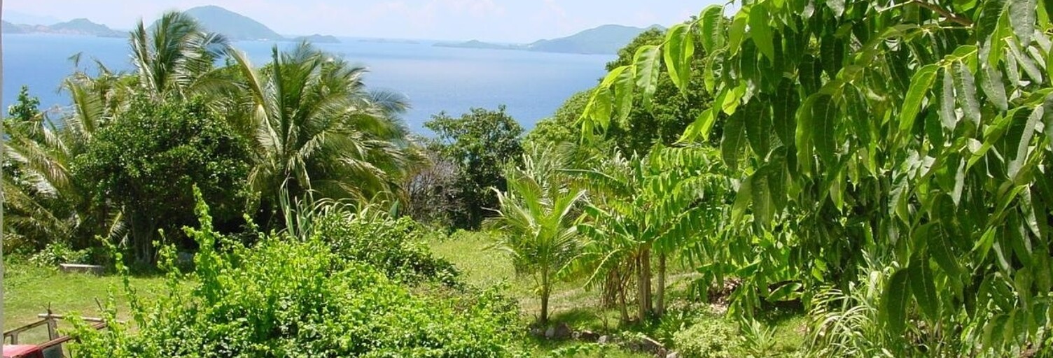 Immeuble  1148 m² à vendre à Trois-Rivières (97114)