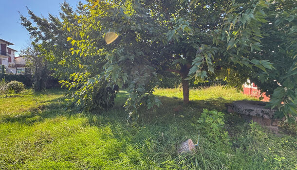 Villa / Maison 11 pièces  à vendre Saint-Jean-Pied-de-Port 64220