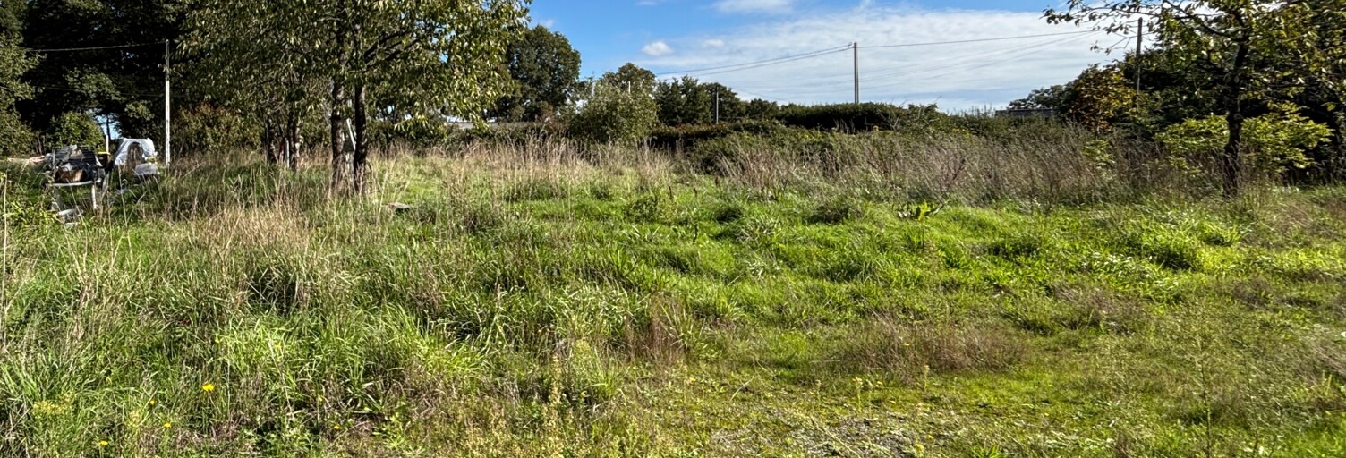 Terrain  986 m² à vendre à Plessé (44630)
