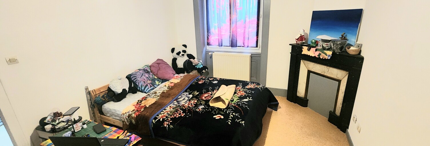 Immeuble  230 m² à vendre à Saint-Étienne (42100)