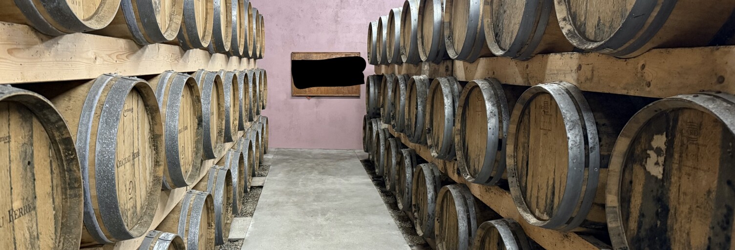 Maison 10 Pièces 459 m² à vendre à Vertheuil (33180)