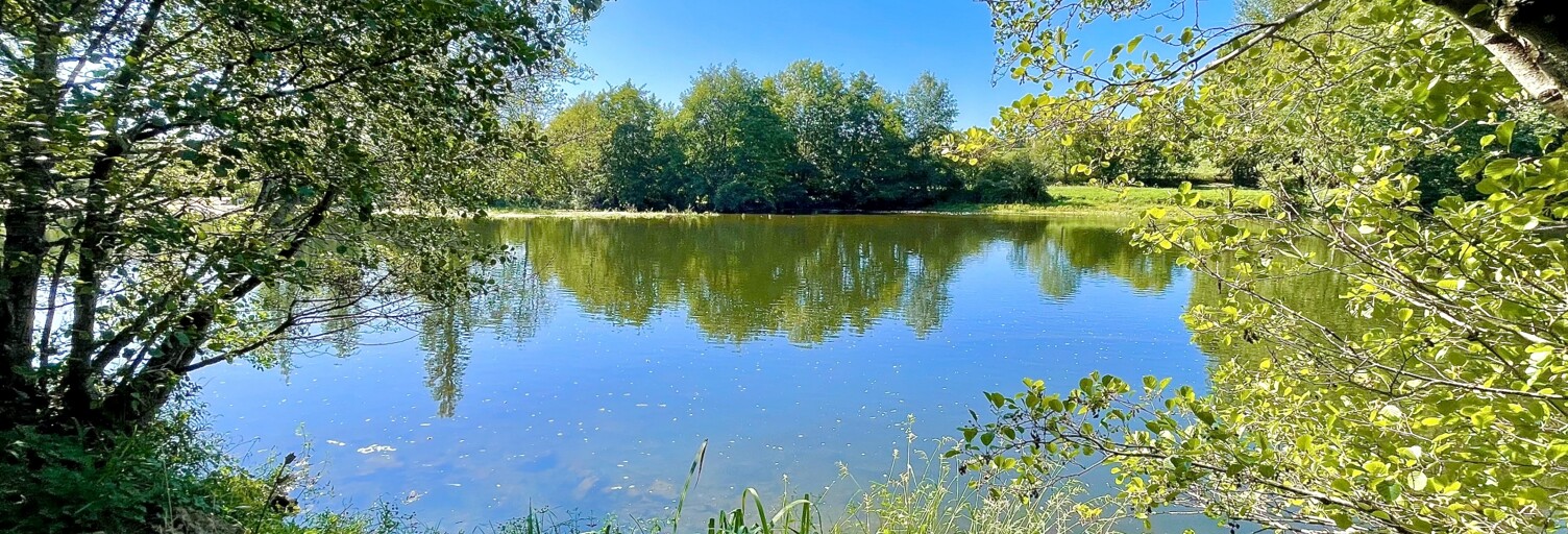 Terrain  1857 m² à vendre à Pouligny-Saint-Pierre (36300)