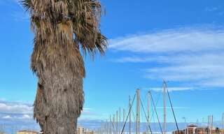 Appartement 2 Pièces 30 m² à vendre à Leucate (11370)