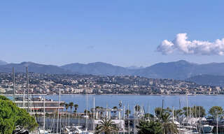 Appartement 1 Pièce 29 m² à vendre à Villeneuve-Loubet (06270)