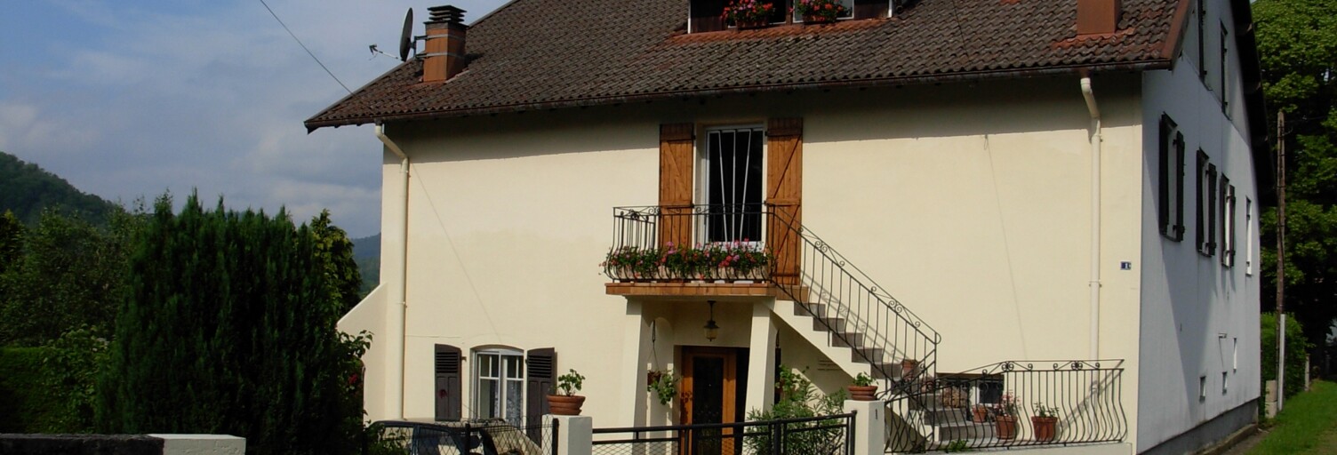 Maison 5 Pièces 327 m² à vendre à Fresse-sur-Moselle (88160)
