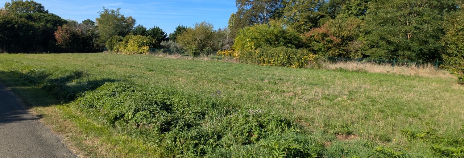 Terrain  1229 m² à vendre à Castillon-la-Bataille (33350)