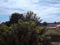 Lunel - Maison T4 — photo 3