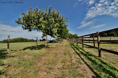 Maison 9 pièces 863200 €