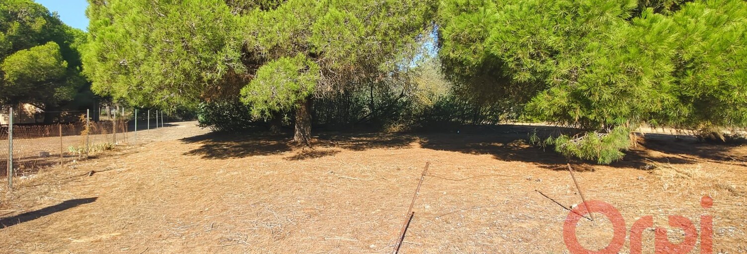 Terrain  830 m² à vendre à Sérignan (34410)