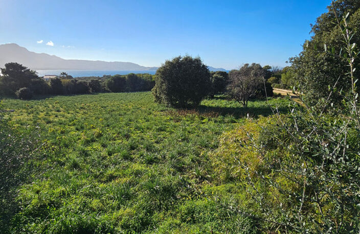 LUMIO - Maison à vendre de 125m2 sur 11.000m2 de terrain VUE SPLENDIDE SUR LE GOLFE DE CALVI — photo 4