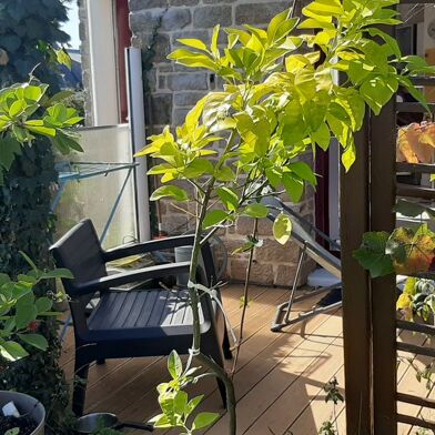 Appartement 3 pièces 1000 €