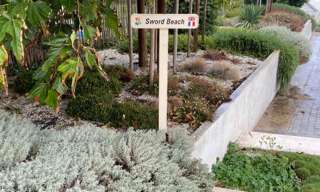 Appartement 3 Pièces 50 m² à vendre à Luc-sur-Mer (14530)