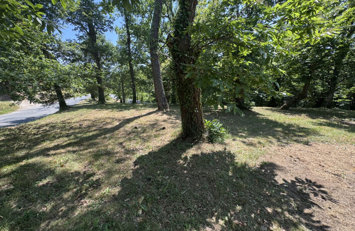 - VIAGER - Maison avec piscine, 8500 m2 de terrain à Cénac e — photo 5