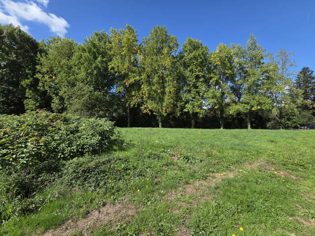 Terrain constructible viabilisé — photo du bien