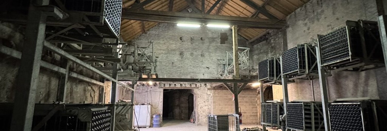 Immeuble  752 m² à vendre à Montlouis-sur-Loire (37270)