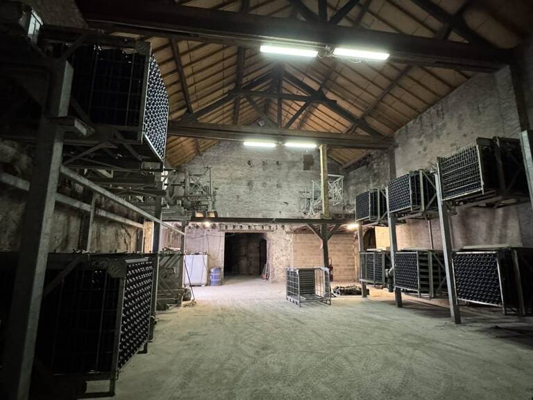 Immeuble à vendre Montlouis-sur-Loire — photo 1