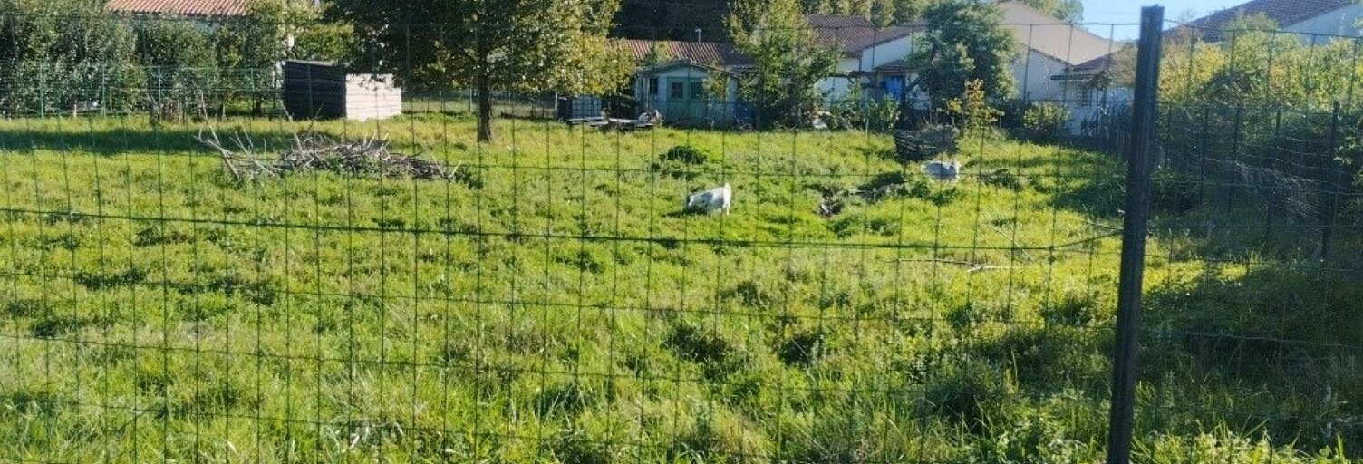 Terrain  1145 m² à vendre à Braud-et-Saint-Louis (33820)