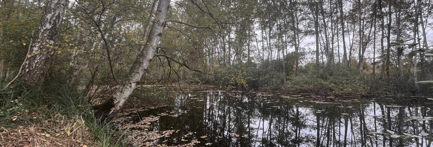 Terrain  6705 m² à vendre à Missy-lès-Pierrepont (02350)