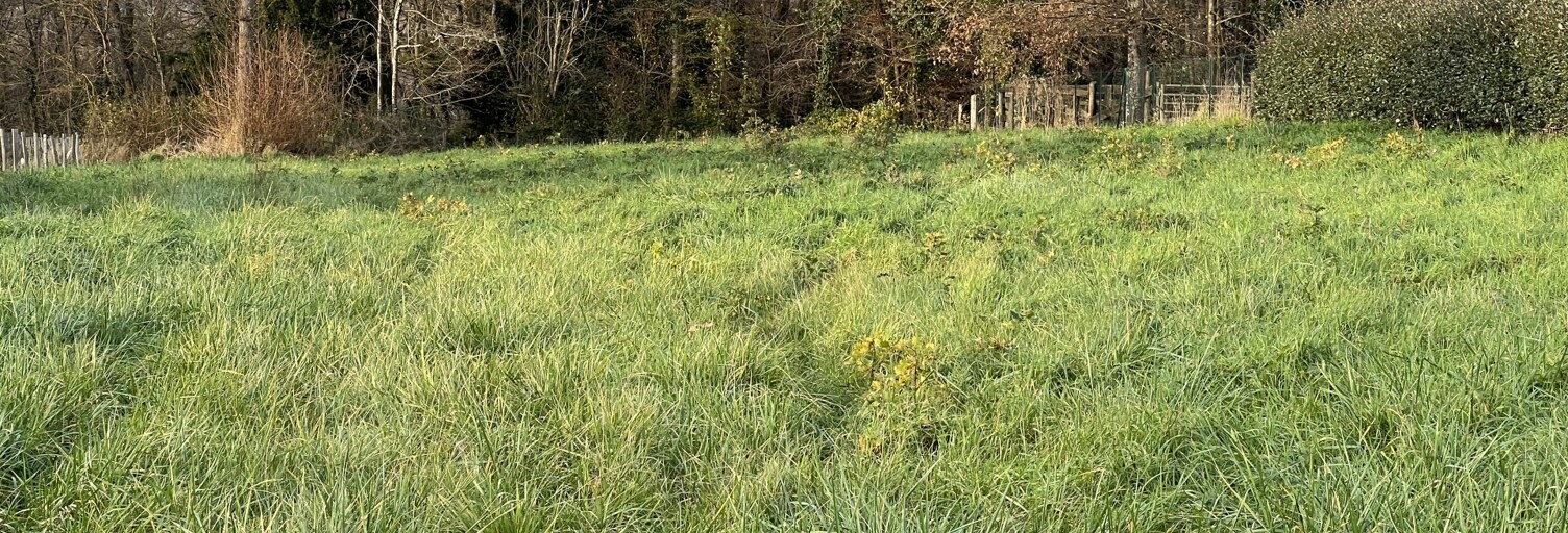 Terrain  2500 m² à vendre à Rilly-sur-Loire (41150)