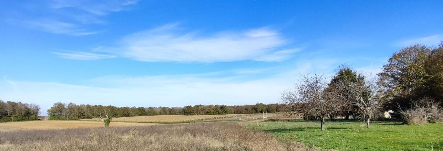 Terrain  8255 m² à vendre à Écoyeux (17770)