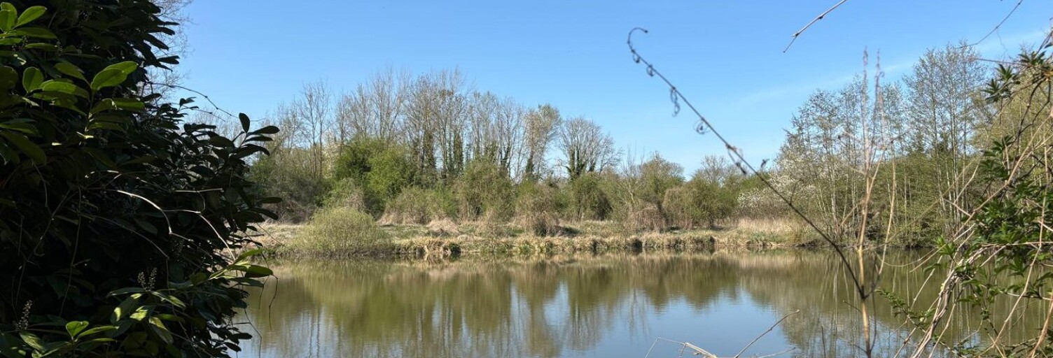 Terrain  12000 m² à vendre à Valenciennes (59300)