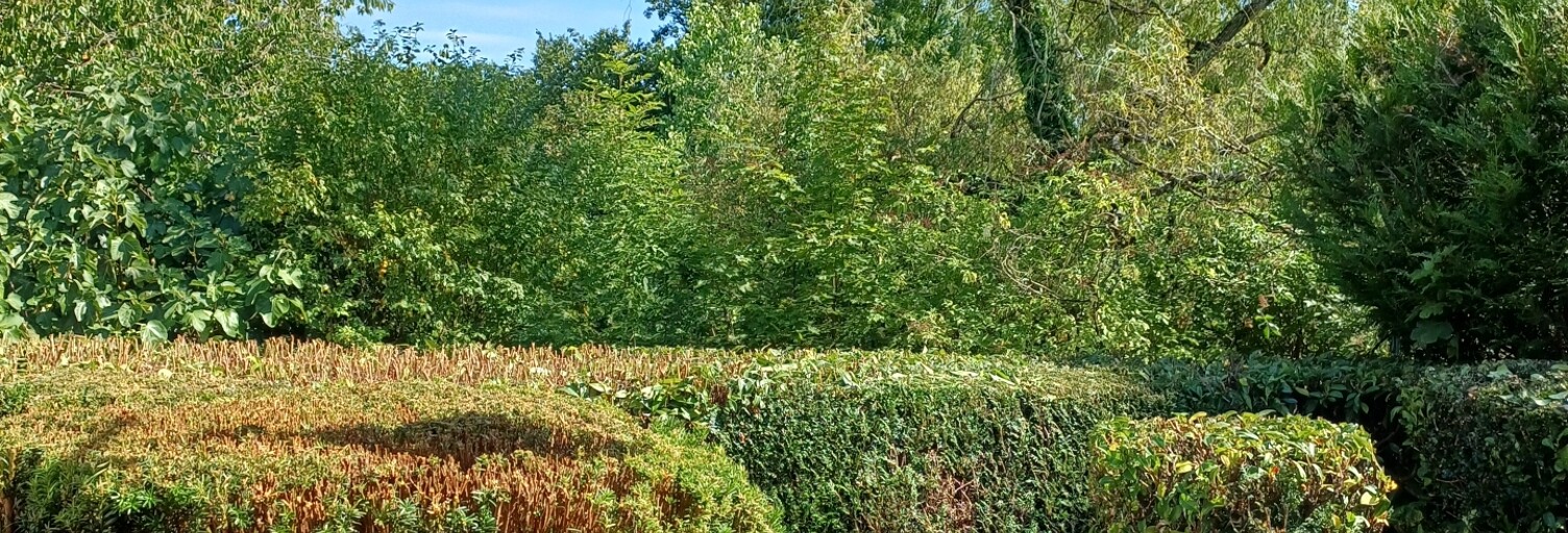 Maison 5 Pièces 90 m² à vendre à Nogent (52800)