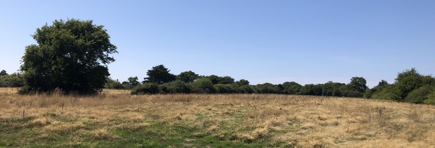 Terrain  313 m² à vendre à Guérande (44350)