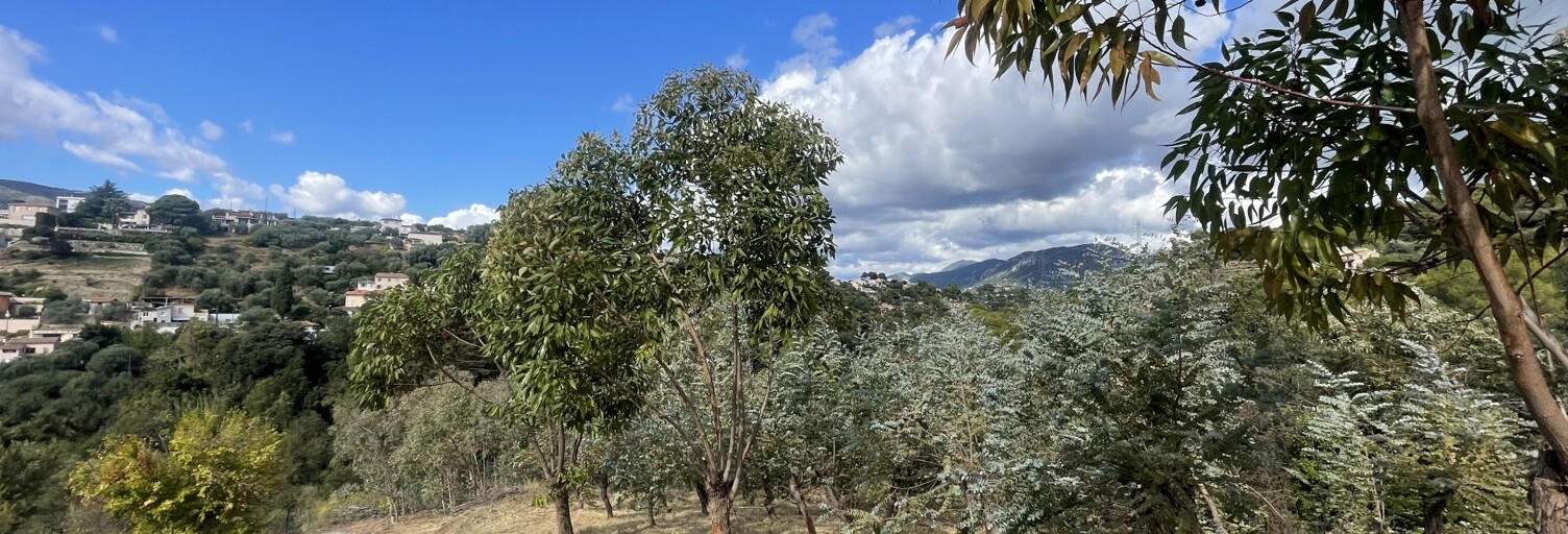 Terrain  10100 m² à vendre à Nice (06200)