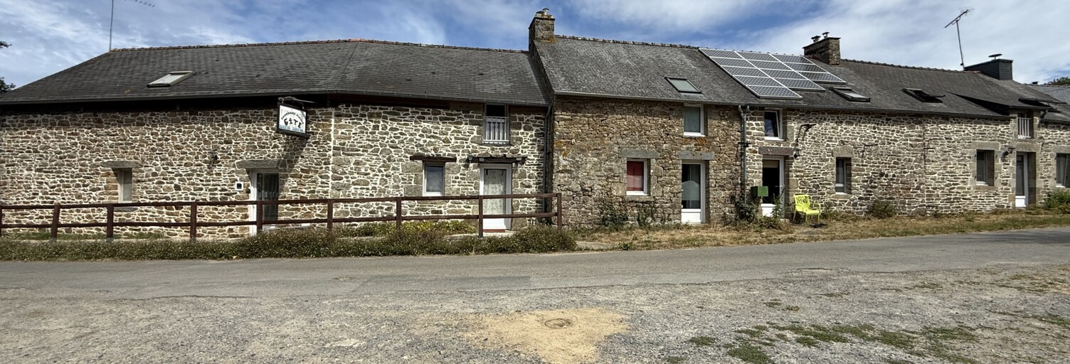 Maison 9 Pièces 340 m² à vendre à Saint-Vincent-sur-Oust (56350)