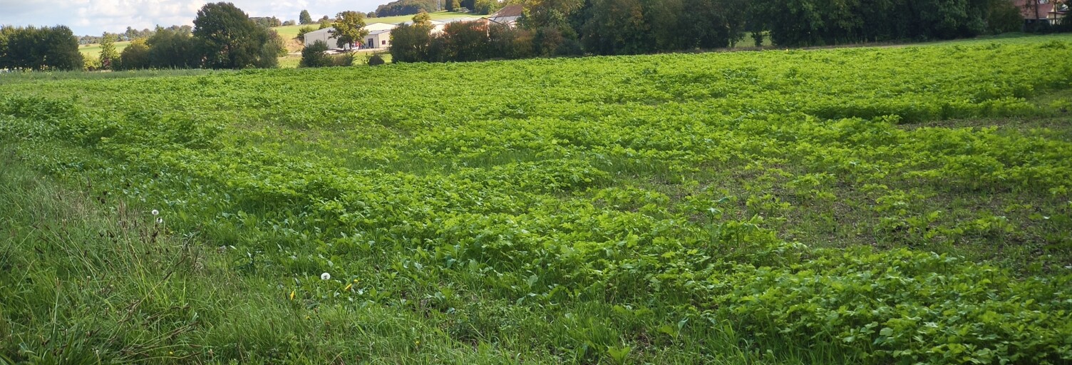 Terrain  1000 m² à vendre à Hargicourt (02420)