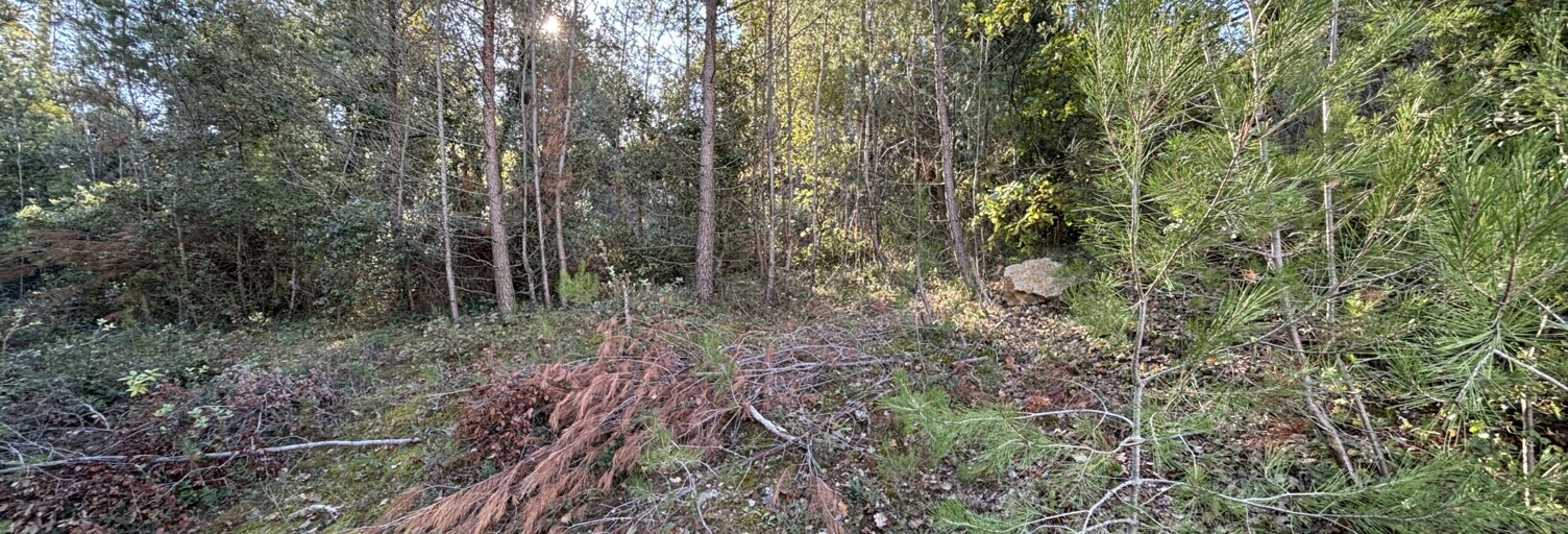 Terrain  735 m² à vendre à Flassans-sur-Issole (83340)