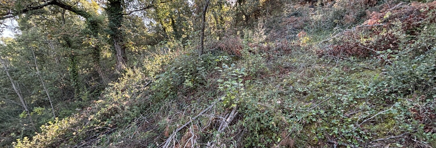 Terrain  735 m² à vendre à Flassans-sur-Issole (83340)