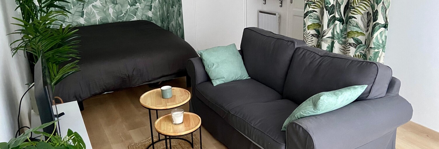 Appartement 1 Pièce 24 m² à vendre à Antony (92160)