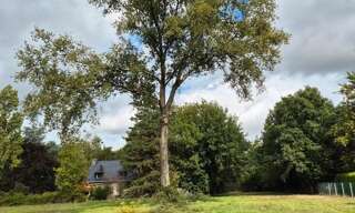 Terrain  8433 m² à vendre à Guipry-Messac (35480)