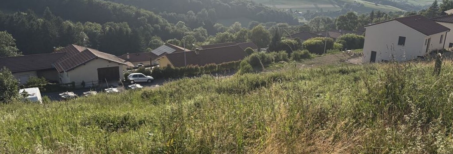 Terrain  751 m² à vendre à Grammond (42140)