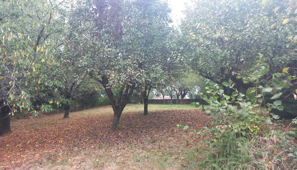 Villa / Maison 4 pièces  à vendre Aïcirits-Camou-Suhast 64120