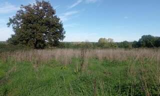 Terrain  3247 m² à vendre à Saint-Junien (87200)