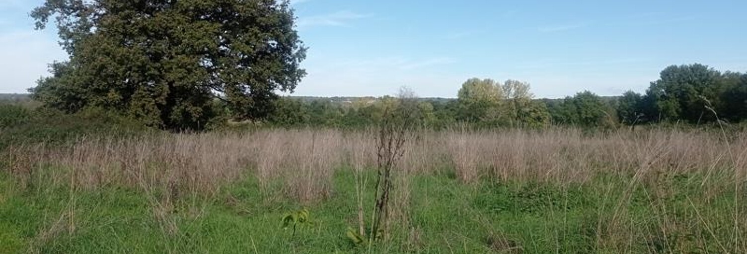 Terrain  3247 m² à vendre à Saint-Junien (87200)