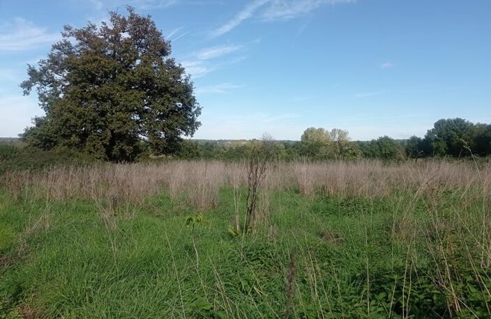 Vente terrain  3247 m² Saint-Junien (87200) — photo 2