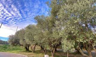 Terrain  401 m² à vendre à Castries (34160)