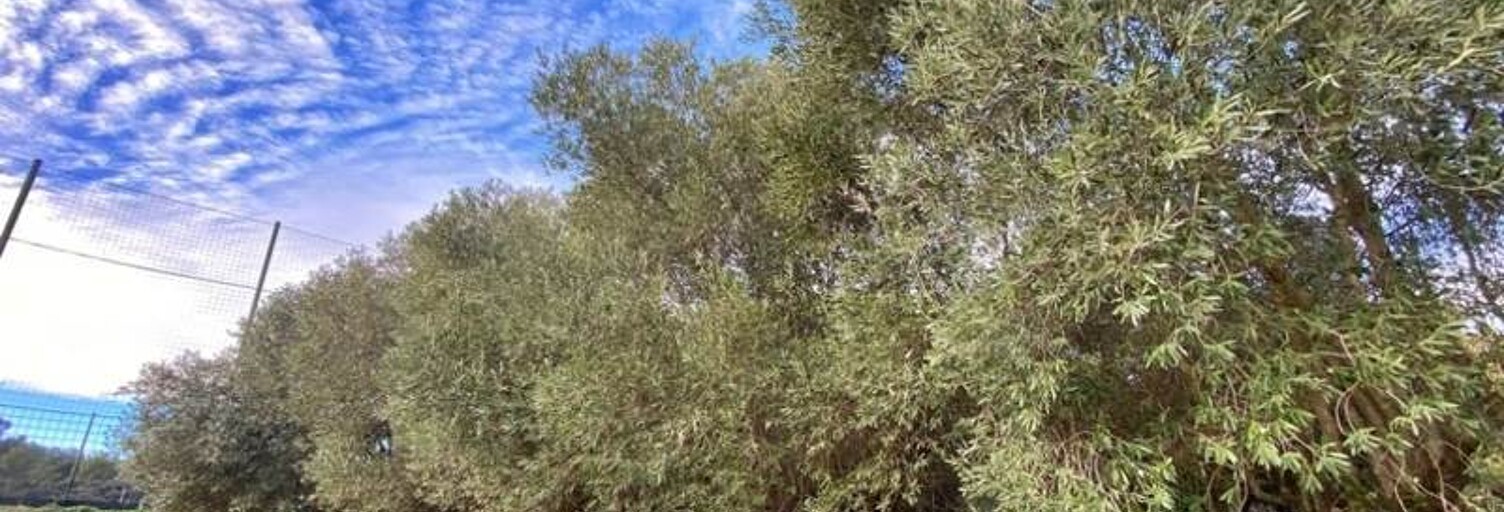 Terrain  401 m² à vendre à Castries (34160)