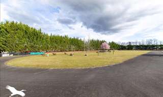 Maison 4 Pièces 110 m² à vendre à Garat (16410)